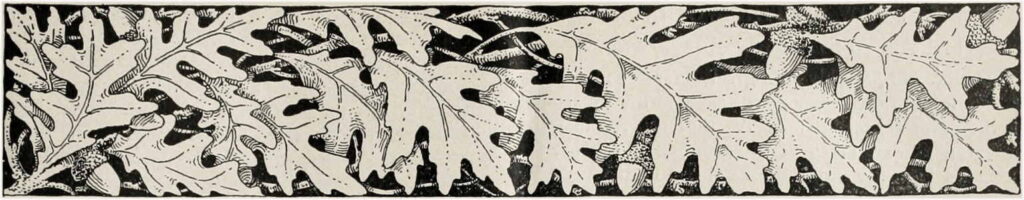 Oak leaves border, for decorative purposes on the "Acknowledgements" page.